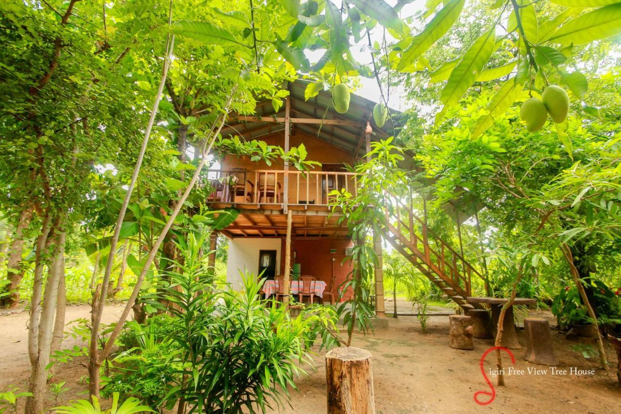 Sigiriya Free View Tree House & Villa Exterior photo