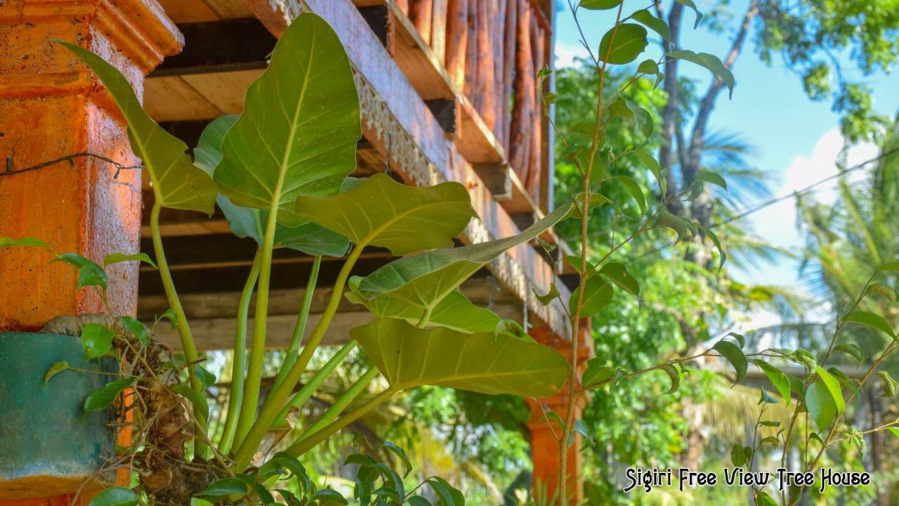 Sigiriya Free View Tree House & Villa Exterior photo