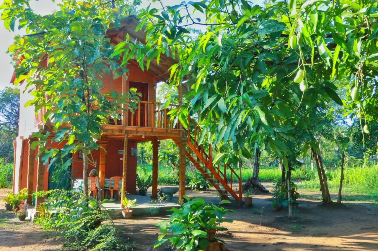 Sigiriya Free View Tree House & Villa Exterior photo